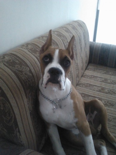 EN SU SILLON