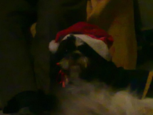 Felicitando la navidad a mi abu Felicitando la navidad a mi abu