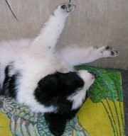 Acá está de 3 meses ahora tiene 3 años Acá está de 3 meses ahora tiene 3 años