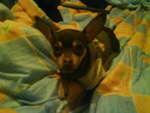 Esta es su primera foto le encanta tomarse fotos :) COFFY<3 Esta es su primera foto le encanta tomarse fotos :) COFFY<3