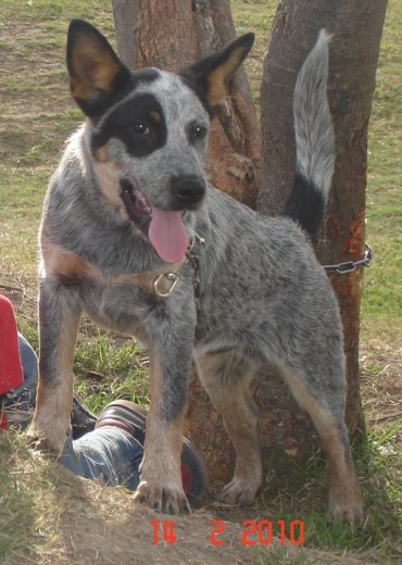 jack a los 5 meses jack a los 5 meses