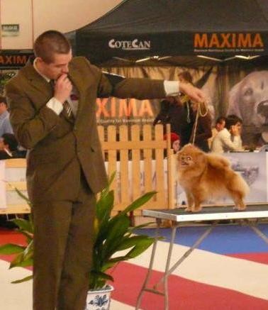 Exposicion Internacional de Granada (hembra: King of the River Pimienta Blanca)
Titulos conseguidos:
Campeona Joven de Gibraltar
Campeona de Portugal