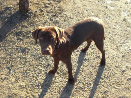 En el parque con 5 meses y medio