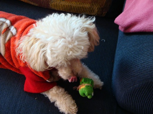 cuqui jugando con su ranita que tambien le trajeron los reyes pero de 2008