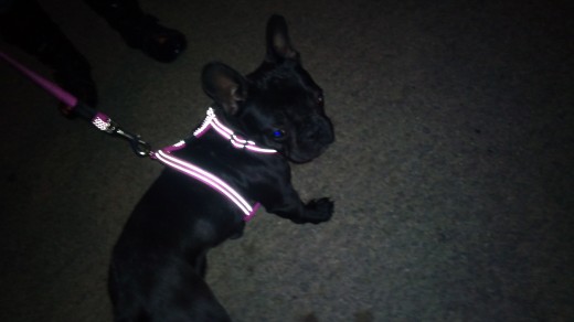 kira brillando en la oscuridad ( segun dice thais es mi lado oscuro)