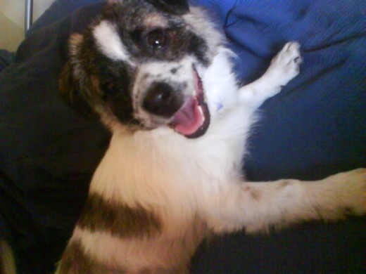 me lo comooo!! :P me lo comooo!! :P