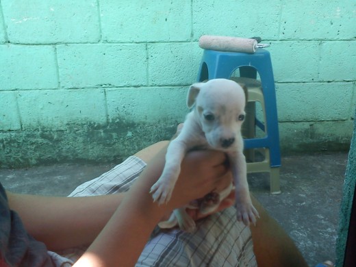 Sus primeros dias en la casa :D