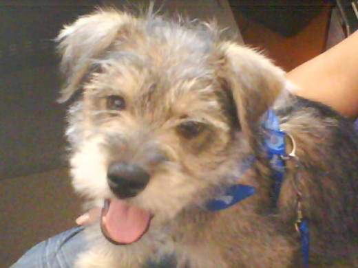 El es Simon el hijo de una amiga Lina