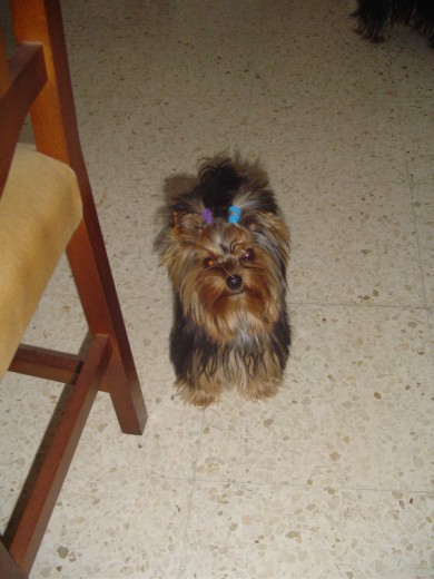 el es chiqui nadie se imagina cuanto le hecho de menos el es chiqui nadie se imagina cuanto le hecho de menos