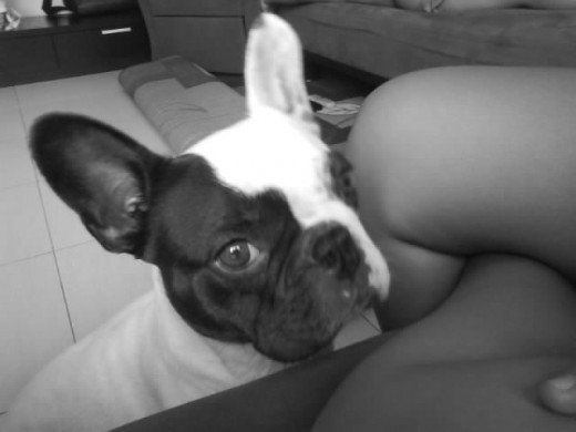 ess muii moona(: