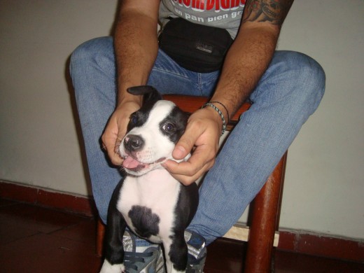 2 meses y medio 2 meses y medio