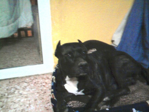 este es killer en su cama este es killer en su cama