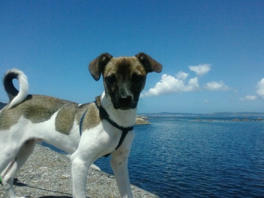 primeras vacaciones con titi en el Grove (Pontevedra).
