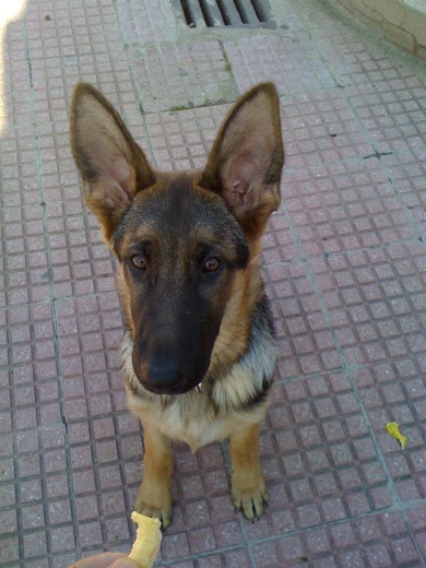 con 6 meses