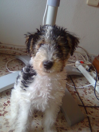 mi pequeña mi pequeña