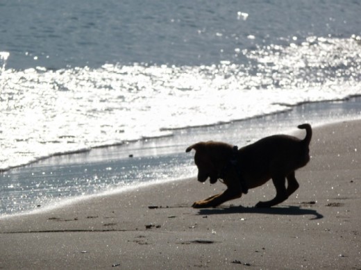 En la playa peleando con las olas.