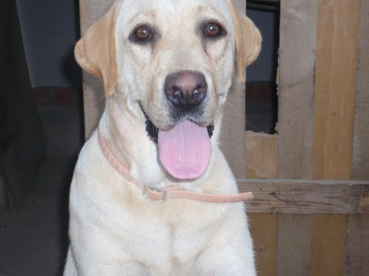 Esta es ella. Esta es ella.