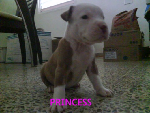 La Princesa