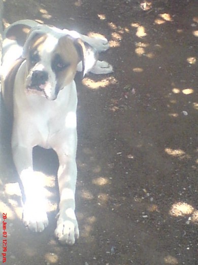Hermosho mi bb jejeje