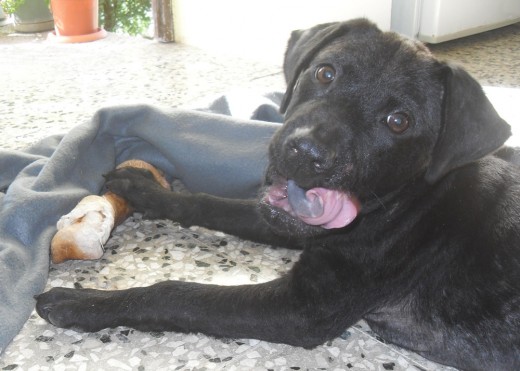 25-dic-11-comiendo su regalitoo 