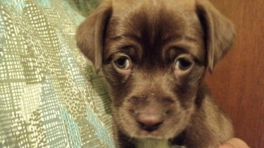 Tiene unos lindos ojos. Tiene unos lindos ojos.
