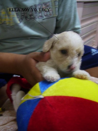 mi nena en crecimiento