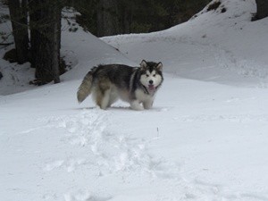 7 meses un día de nieve