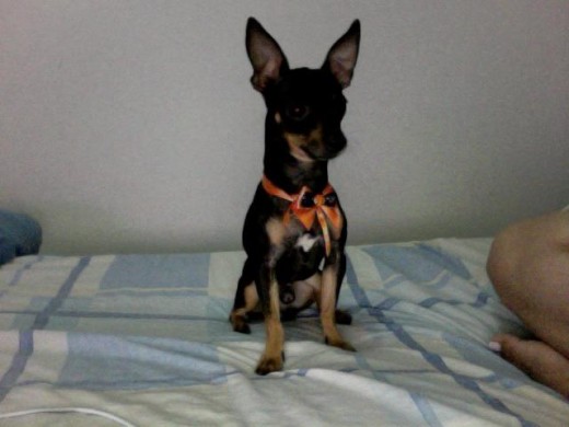 takito el rey de mi corazon takito el rey de mi corazon