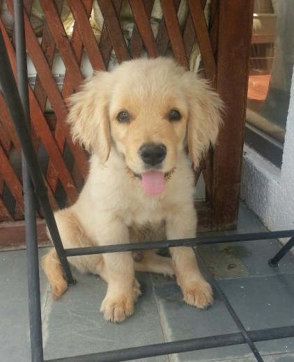 Gaspar descansando <3 Gaspar descansando <3