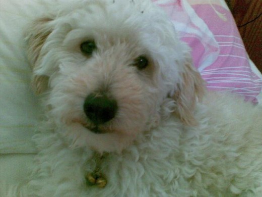 este soy yo!
Lucky!=D
