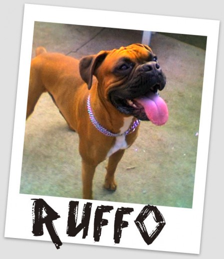 ruffo