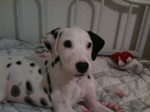 mi bebe hermoso <3 mi bebe hermoso <3