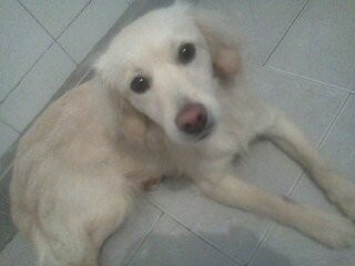 Soy Lucia!! Soy Lucia!!