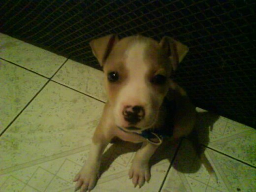 El loco tony =)