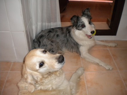 Con mi prima Laska y mi pelota.