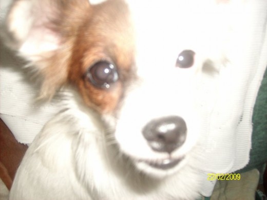 Hermosa Mi Hija la quiero Tanto . ♥