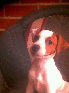 aqui tenia 3 meses