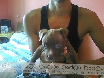 nala con 50 dias nala con 50 dias