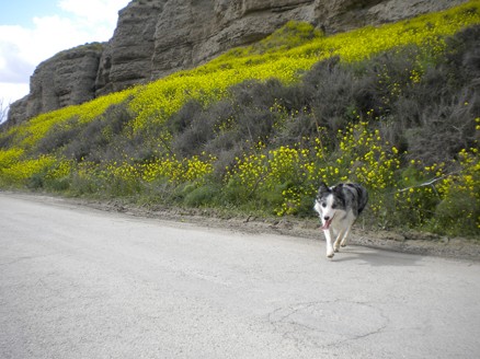 Corriendo.