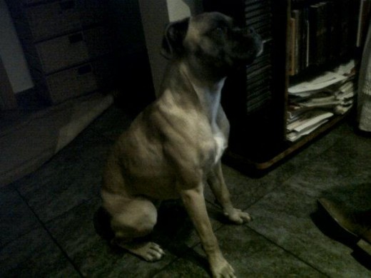 Con 9 meses Con 9 meses