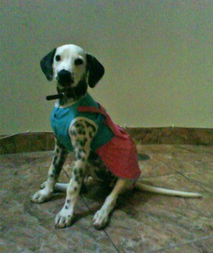 Pero si es una Nenaaa!!!..=D Pero si es una Nenaaa!!!..=D