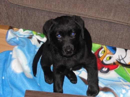con casi 2 meses con casi 2 meses