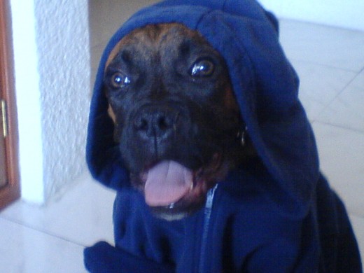 JAJAJAJ DIGGER CON MI SUDADERA JAJAJAJ DIGGER CON MI SUDADERA