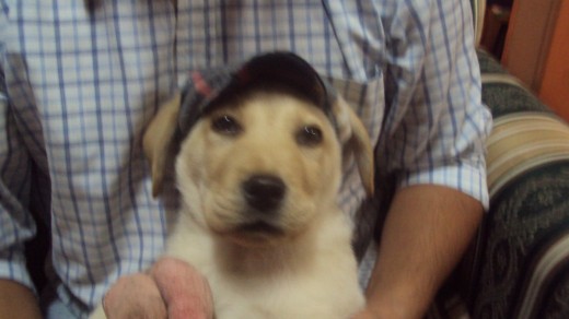AQUILES AQUILES