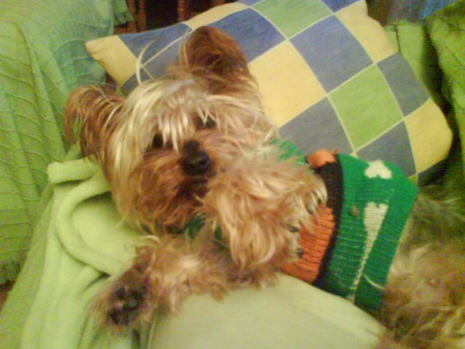la sallie toda agusto! la sallie toda agusto!