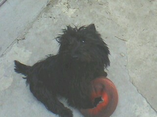 Con su balón de básquet 