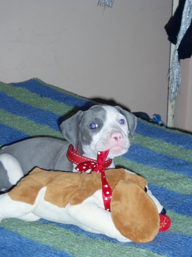 jugando con su peluche favorito