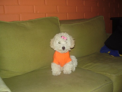 mi linda hermosa,llego en el momento mas dificil de mi vida,cuando estaba pasando por una pena muy grande.
ella fue mi consuelo!!! mi linda,es mi dulce compañia.
no q va a pasar cuando ella me falte.