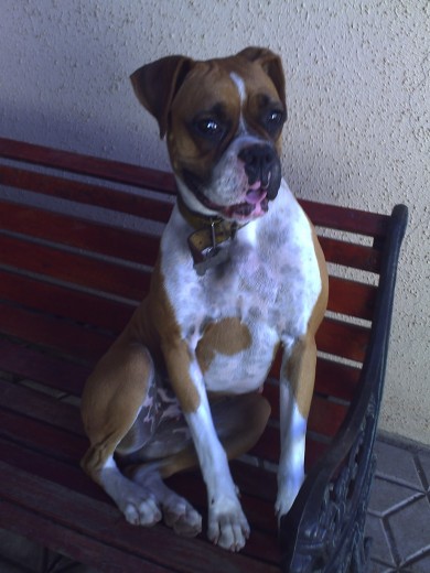 es una modelo es una modelo
