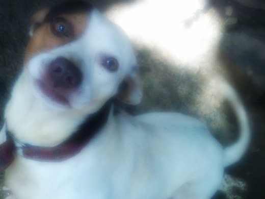 Soy Guapo verdad? ♥